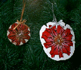Sand Dollar Poinsettia - All Free Crafts