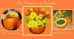 fall flowers arranged in floral foam in a pumpkin