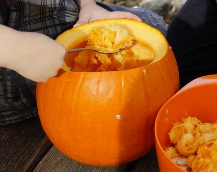 scooping out seeds from a pumpkin