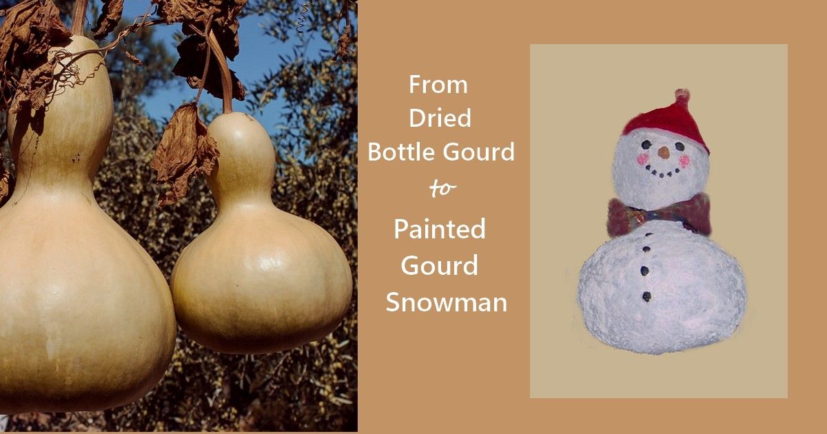 dried bottle gourds painted to look like a snowman