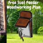 free wooden suet feeder plan