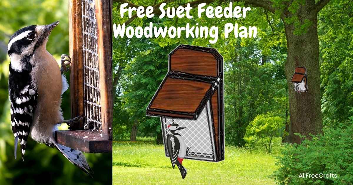 free wooden suet feeder plan