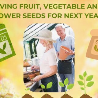 saving fruit, vegetable and flower seeds for next year