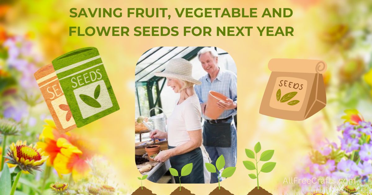 saving fruit, vegetable and flower seeds for next year