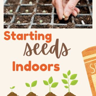 starting seeds indoors