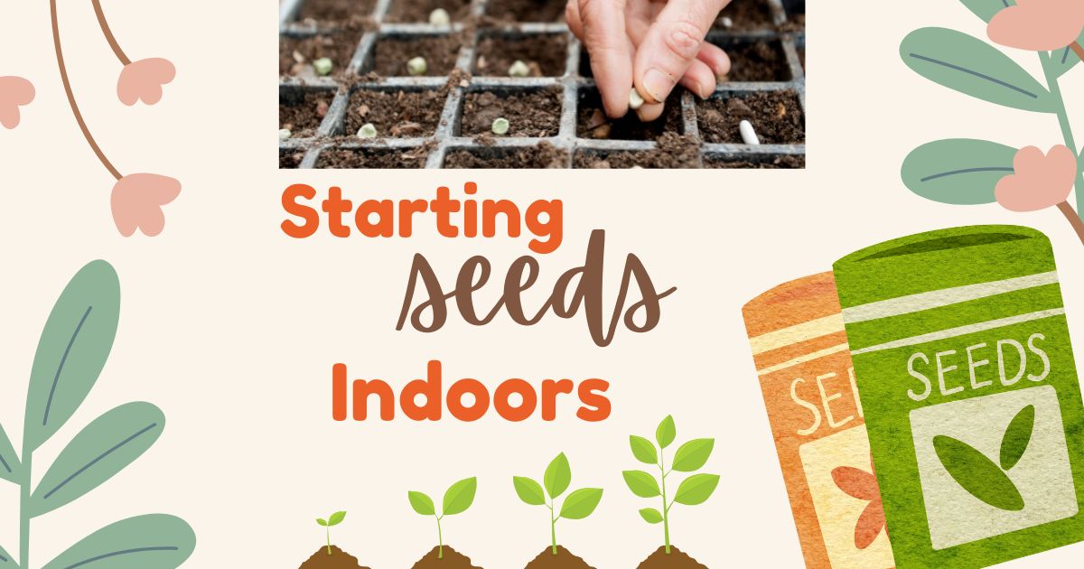 starting seeds indoors