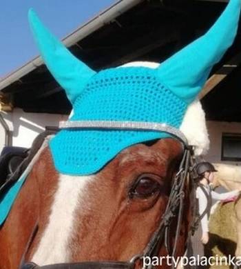 free crochet pattern to make a horse's fly bonnet