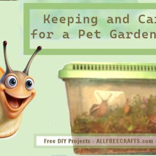 Keeping and caring for pet snails