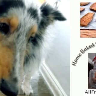 home baked sweet potato treats for dogs