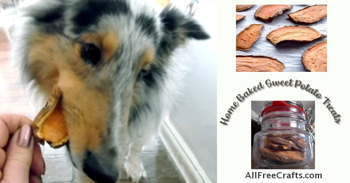 home baked sweet potato treats for dogs