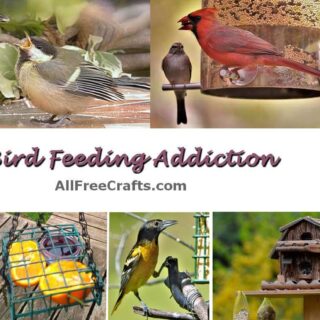 bird feeding addiction banner