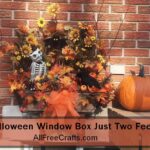 fall to Halloween window box just two feet wide