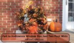 fall to Halloween window box just two feet wide