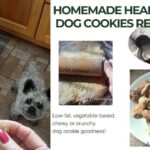 homemade healthy vegetable-based dog cookies