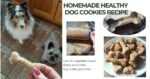 homemade healthy vegetable-based dog cookies