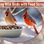 cardinals feeding on kitchen food scraps