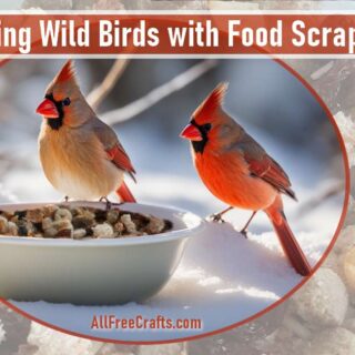 cardinals feeding on kitchen food scraps