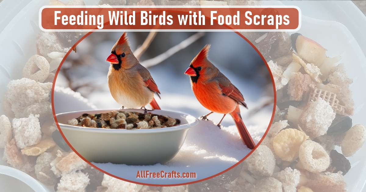 male and female cardinal near a bowl of food scraps