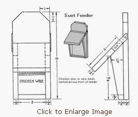 Easy Homemade Suet Feeder